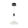 Suspension Paul Neuhaus Q-ETIENNE LED Noir, 1 lumière, Télécommandes