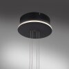 Suspension Paul Neuhaus Q-ETIENNE LED Noir, 1 lumière, Télécommandes