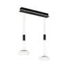 Suspension Paul Neuhaus Q-ETIENNE LED Noir, 2 lumières, Télécommandes