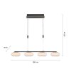 Suspension Paul Neuhaus Q-ETIENNE LED Noir, 4 lumières, Télécommandes