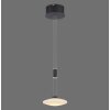 Suspension Paul Neuhaus LAUTADA LED Noir, 1 lumière