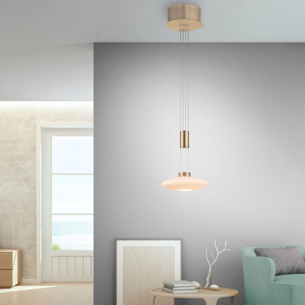 Suspension Paul Neuhaus LAUTADA LED Laiton, 1 lumière main product photo