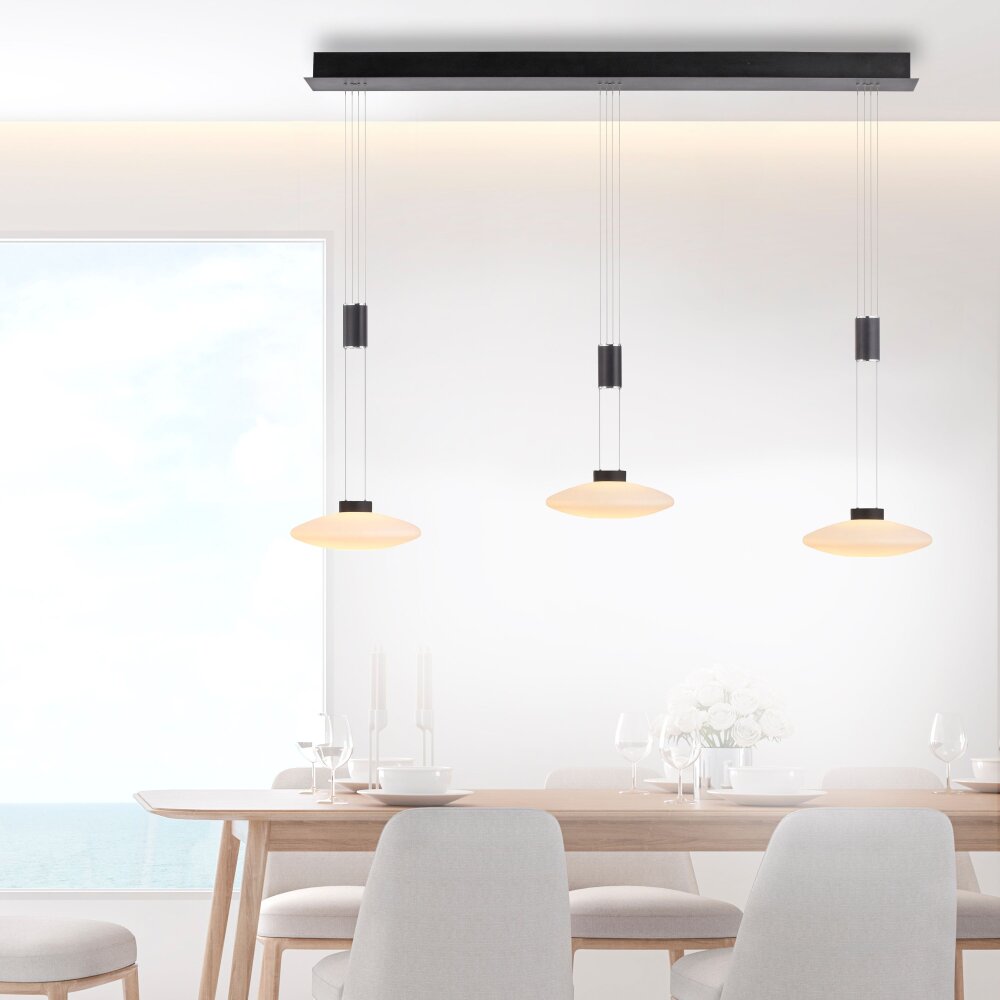 Suspension Paul Neuhaus LAUTADA LED Noir, 3 lumières main product photo