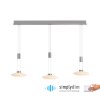 Suspension Paul Neuhaus LAUTADA LED Acier brossé, 3 lumières