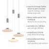 Suspension Paul Neuhaus LAUTADA LED Acier brossé, 3 lumières