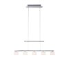 Suspension Paul Neuhaus HYDRA LED Acier brossé, 5 lumières