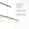 Suspension Paul Neuhaus HYDRA LED Acier brossé, 5 lumières