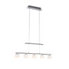 Suspension Paul Neuhaus HYDRA LED Acier brossé, 5 lumières