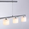 Suspension Paul Neuhaus HYDRA LED Acier brossé, 5 lumières