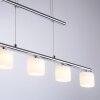 Suspension Paul Neuhaus HYDRA LED Acier brossé, 5 lumières