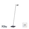 Lampadaire Paul Neuhaus PURE-MIRA LED Noir, 1 lumière, Télécommandes