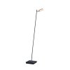 Lampadaire Paul Neuhaus PURE-MIRA LED Noir, 1 lumière, Télécommandes