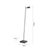 Lampadaire Paul Neuhaus PURE-MIRA LED Noir, 1 lumière, Télécommandes