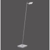 Lampadaire Paul Neuhaus PURE-MIRA LED Aluminium, 1 lumière, Télécommandes