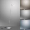 Lampadaire Paul Neuhaus PURE-MIRA LED Aluminium, 1 lumière, Télécommandes