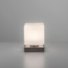 Lampe de table Paul Neuhaus DADOA LED Acier brossé, 1 lumière