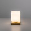 Lampe de table Paul Neuhaus DADOA LED Laiton, 1 lumière