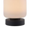 Lampe de table Paul Neuhaus BOTA LED Anthracite, 1 lumière