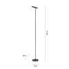 Lampadaire Paul Neuhaus PURE-TUTUA LED Noir, 1 lumière