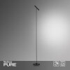 Lampadaire Paul Neuhaus PURE-TUTUA LED Noir, 1 lumière