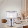Lampe de table Paul Neuhaus FUNGUS Transparent, 1 lumière
