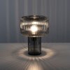 Lampe de table Paul Neuhaus FUNGUS Fumée, 1 lumière