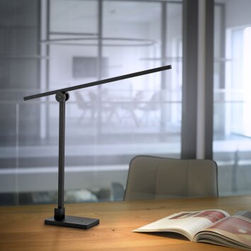 Lampe de table Paul Neuhaus PURE-GRAFO LED Noir, 1 lumière