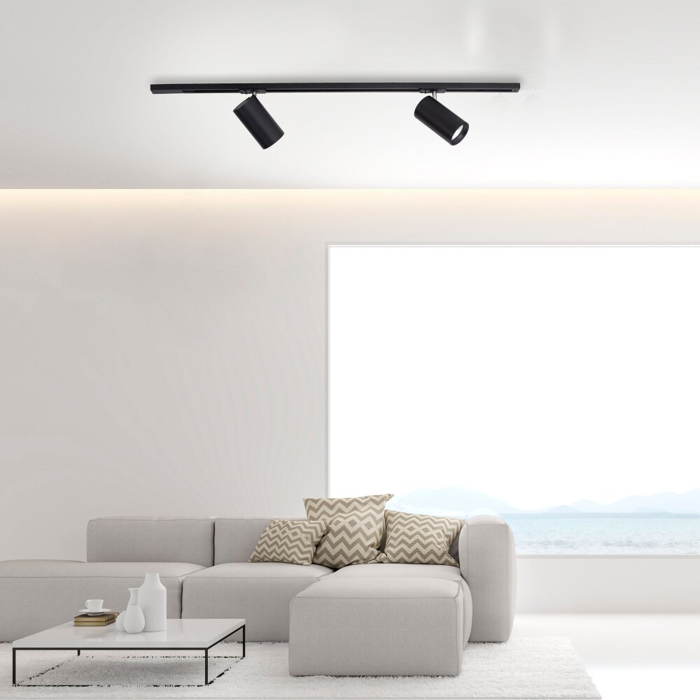 Systémes de rails Paul Neuhaus PURE-TECHNIK LED Noir, 2 lumières main product photo