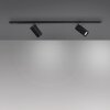 Systémes de rails Paul Neuhaus PURE-TECHNIK LED Noir, 2 lumières