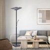 Lampadaire à vasque Paul Neuhaus ARTUR LED Anthracite, 1 lumière