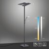 Lampadaire à vasque Paul Neuhaus ARTUR LED Anthracite, 1 lumière