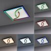 Plafonnier Paul Neuhaus SERPENT LED Noir, 1 lumière, Télécommandes, Changeur de couleurs