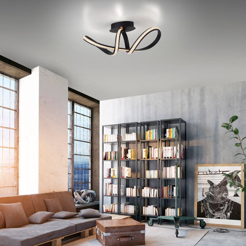 Plafonnier Paul Neuhaus BRILLA LED Noir, 1 lumière main product photo