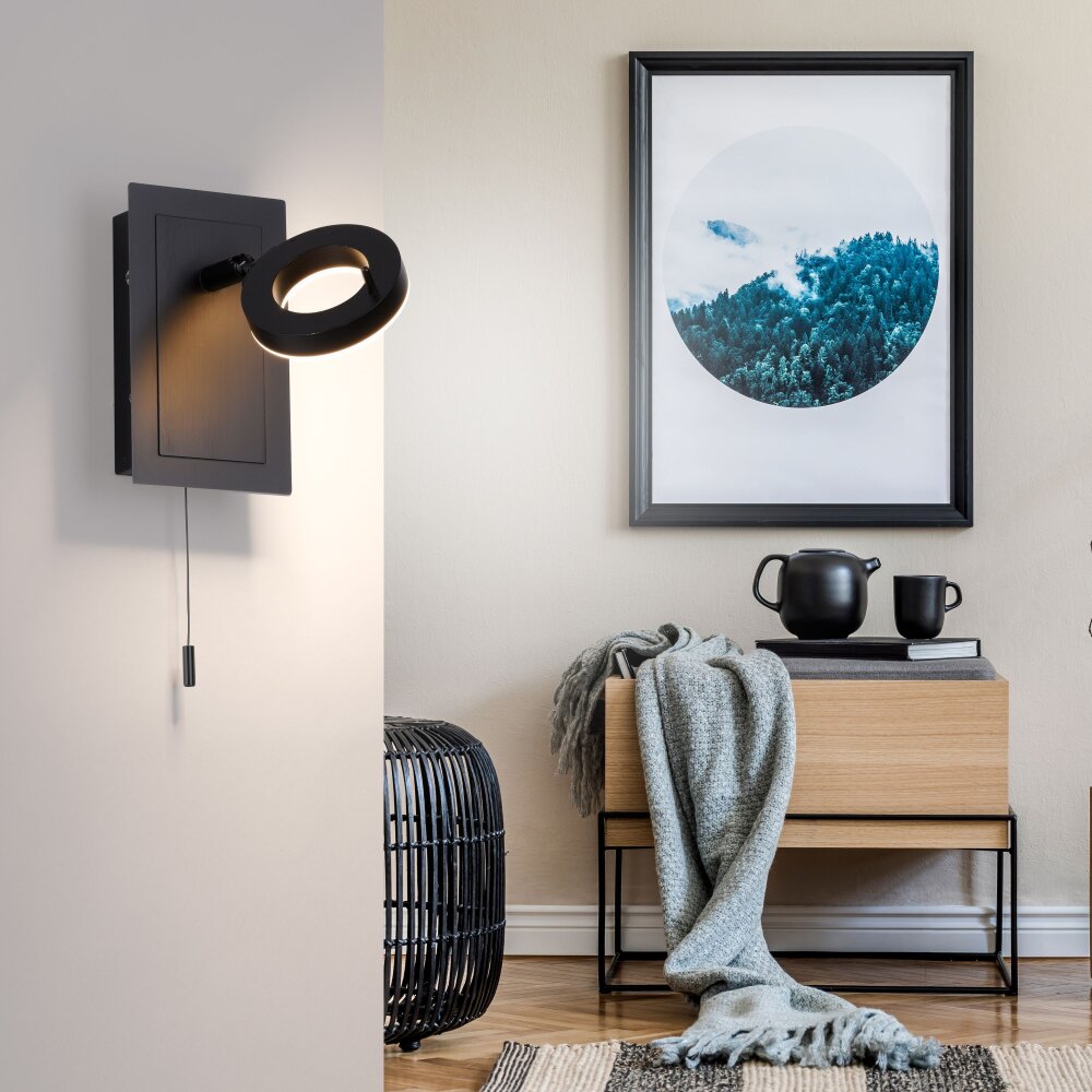 Applique murale Paul Neuhaus SILEDA Anthracite, 1 lumière main product photo