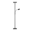 Lampadaire à vasque Leuchten-Direkt HANS LED Noir, 2 lumières