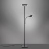 Lampadaire à vasque Leuchten-Direkt HANS LED Noir, 2 lumières