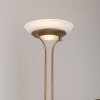 Lampadaire à vasque Leuchten-Direkt ZAHARA LED Vieux laiton, 2 lumières