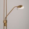 Lampadaire à vasque Leuchten-Direkt ZAHARA LED Vieux laiton, 2 lumières