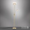 Lampadaire à vasque Leuchten-Direkt ZAHARA LED Laiton, 2 lumières