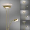 Lampadaire à vasque Leuchten-Direkt ZAHARA LED Laiton, 2 lumières