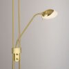 Lampadaire à vasque Leuchten-Direkt ZAHARA LED Laiton, 2 lumières