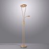 Lampadaire à vasque Leuchten-Direkt HELIA LED Laiton, 3 lumières