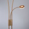 Lampadaire à vasque Leuchten-Direkt HELIA LED Laiton, 3 lumières