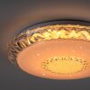 Plafonnier Leuchten-Direkt LUCCA LED Blanc, 1 lumière, Télécommandes