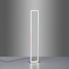 Lampadaire Leuchten-Direkt FELIX60 LED Acier brossé, 2 lumières, Télécommandes, Changeur de couleurs