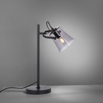 Lampe de table Leuchten-Direkt TINULA Noir, 1 lumière