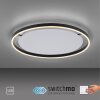 Plafonnier Leuchten-Direkt RITUS LED Anthracite, 1 lumière