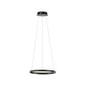 Suspension Leuchten-Direkt RITUS LED Anthracite, 1 lumière