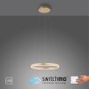 Suspension Leuchten-Direkt RITUS LED Laiton, 1 lumière