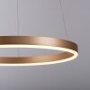 Suspension Leuchten-Direkt RITUS LED Laiton, 1 lumière